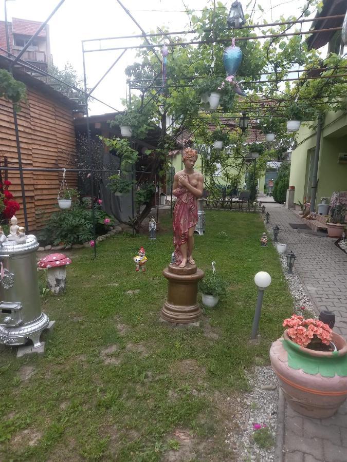 Апартаменти Casa Elena Сігішоара Екстер'єр фото