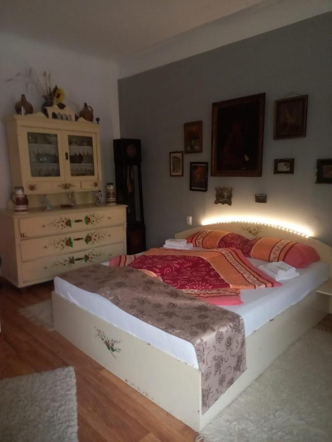 Апартаменти Casa Elena Сігішоара Екстер'єр фото